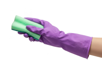 Hand in Purple Glove Holds Cleaning Sponge on Transparent Background