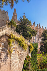 Lush green plants on the walls by the Palma cathedral in Palma de Mallorca © Lars Johansson