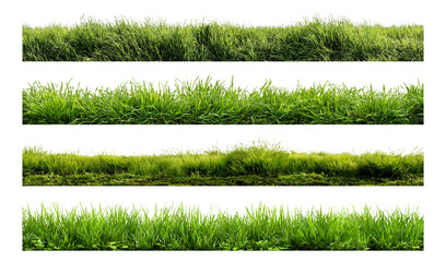 Collection of Lush Green Grass Borders with Transparent Background