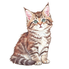 Obraz premium Illustration of Cute Tabby Kitten Sitting With Transparent Background