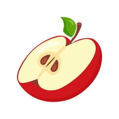 Half of a cut red sweet apple. Natural fruits, hand drawn