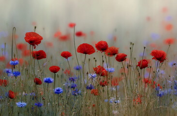 Obraz premium A dreamy wildflower meadow in full bloom, filled with vibrant poppies, cornflowers, and grasses under a soft blue sky, capturing the essence of natural beauty and summer calm.
