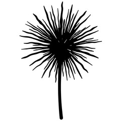 Fototapeta premium Silhouette of artistic flower design on white background, creativity