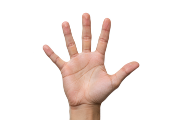 Illustration of Hand Showing Five Fingers Transparent Background