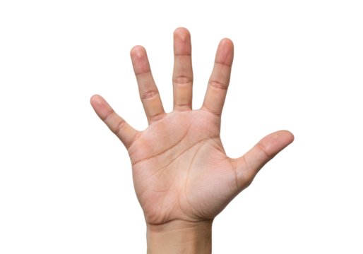 Illustration of Hand Showing Five Fingers Transparent Background