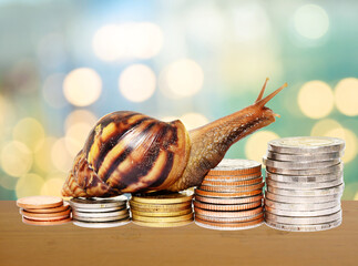 Brown snail climbing the pile of coins on wooden table with bright colorful background , Victory and success from patience , Slow economic growth , Development financial and commit business concept