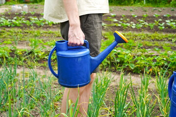 woman watering plants