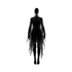 Isolated Abstract Silhouette of a Woman in Flowing Gown on Transparent