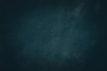 Minimalist view of an airplane flying high in the sky with clear blue background. Travel and aviation concept.
