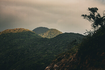 Tropical mountain slope covered in dense jungle vegetation, partially lit by dramatic sunlight. 
