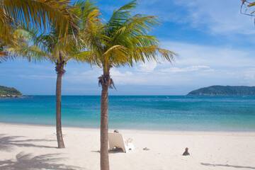 Man relaxing in a hammock under coconut trees by the beach.
