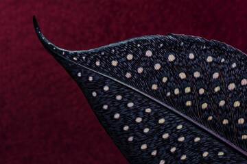 Detailed close-up of a speckled feather.