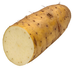 Chinese yam on transparent png