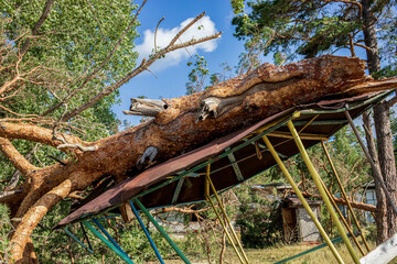 Fallen tree on damaged structure after hurricane in summer forest landscape