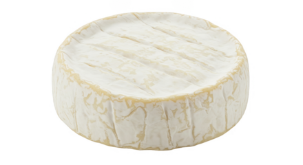 Isolated Round Camembert Cheese a Delicious Gourmet Dairy Product