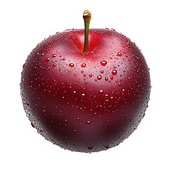 A single, ripe plum, glistening with water droplets, sits against a white background. Its deep red color and smooth skin are highlighted by the light reflecting off the moisture.