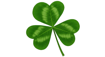 Isolated Shamrock St Patrick's Day Green Leaf Clover Background PNG