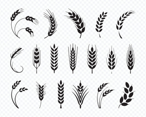 Wheat and Grain Icon Set for Agriculture Organic Food and Farm Design Vector