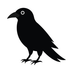 Obraz premium crow on a white background