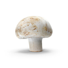 White Button Mushroom isolated on transparent background