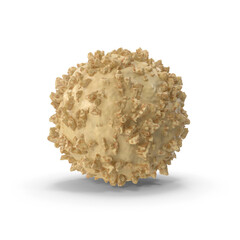 Obraz premium White Chocolate Truffle with Crushed Nuts isolated on transparent background