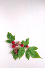 ラズベリーと葉メッセージカードピンクバック