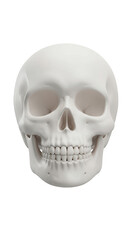 Obraz premium Realistic Skull Anatomy Head Bone Isolated on Transparent Background