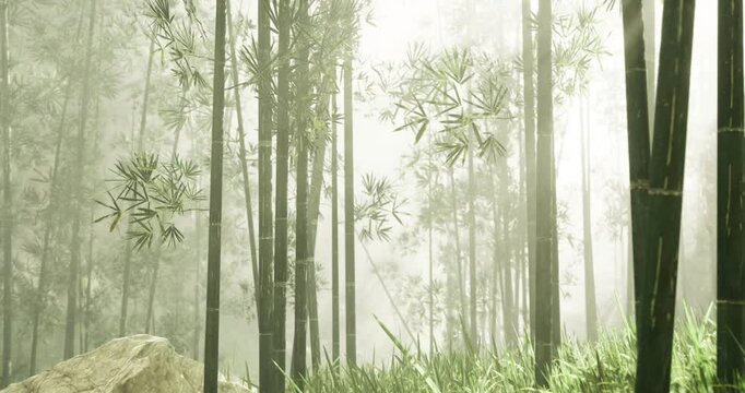 A tranquil bamboo forest enveloped in mist, creating a serene atmosphere. Light filters through the dense foliage, highlighting the lush greenery and gentle movement of leaves.