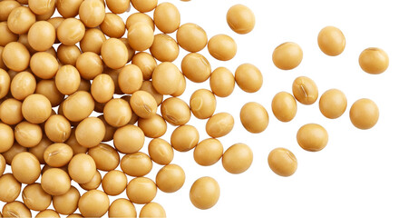 Scattered Heap of Soybeans Isolated on Transparent Background PNG