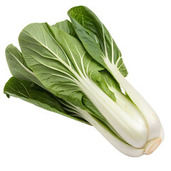 Bok choy vegetable isolated on transparent png