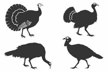 Naklejka premium set of peacock