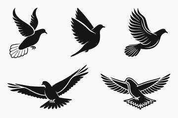 Obraz premium set of birds