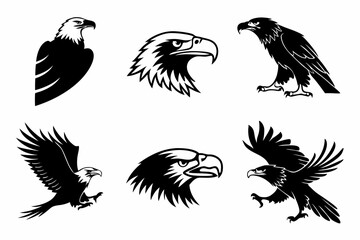 Obraz premium set of eagle