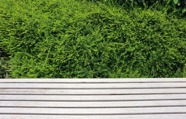 Classic long wooden chair in the garden