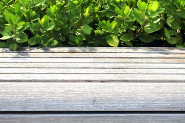 Classic long wooden chair in the garden