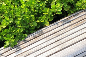 Classic long wooden chair in the garden