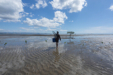 A fisherman walks on foot through the newly planted mangrove area, carrying makeshift fishing gear,...