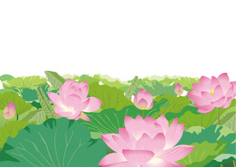 蓮の花のイラスト