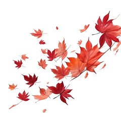 Falling red maple leaves on black background