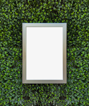 Silver Frame in Lush Green Hedge: Perfect Eco-Friendly Wall Mockup for Creative Displays