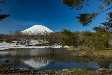 北海道京極ふきだし公園-雪の残る青空の羊蹄山-012