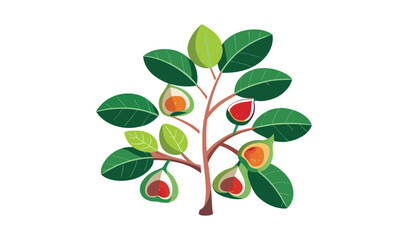 Stylized fig tree with ripe figs and leaves