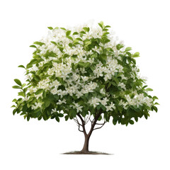 A tree with white flowers and green leaves
