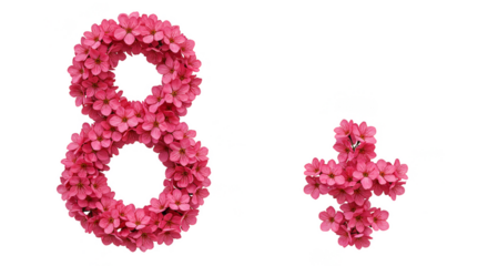 Isolated Number Eight and Plus Symbol Created with Pink Flowers on Transparent