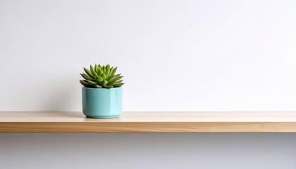 Succulent in Teal Pot on Wooden Shelf Against White Wall