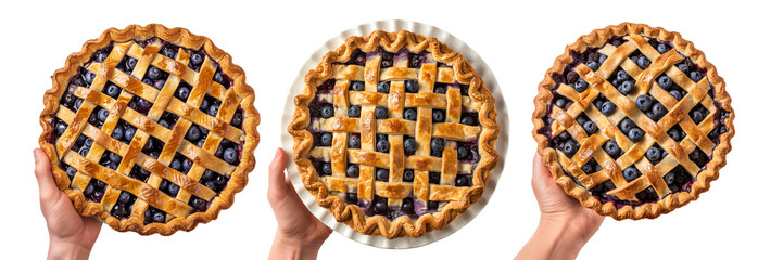 Hand holding baked blueberry pie with a stunning lattice crust isolated on white transparent background