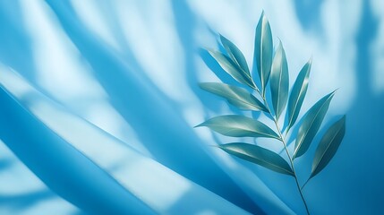 Obraz premium Indoor plant casting soft shadow on green wall high resolution picture