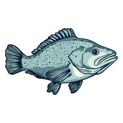 Fototapeta premium grouper, sea animal, vector, transparent background, organism, fish, animal, aquarium, ocean, wildlife, marine, underwater, nature, fins, seafood, isolated