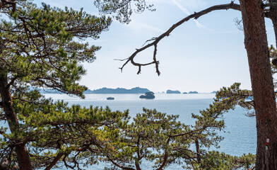 View of islands within Matsushima Bay, Japan