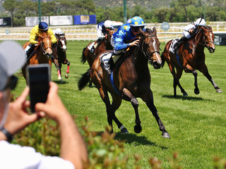 Recta final de carrera de caballos en el hipódromo sobre pista de hierba y aficionado grabando con el móvil